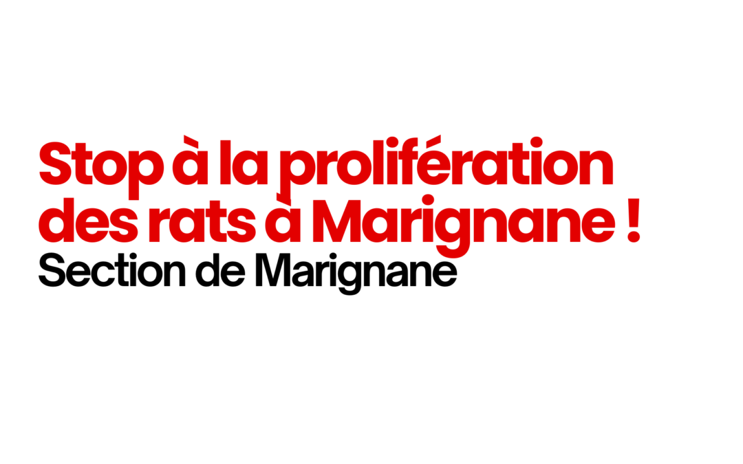Section de Marignane – STOP À LA PROLIFÉRATION DES RATS À MARIGNANE !
