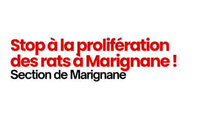 Dans le centre ville de Marignane, les rats font la farandole !